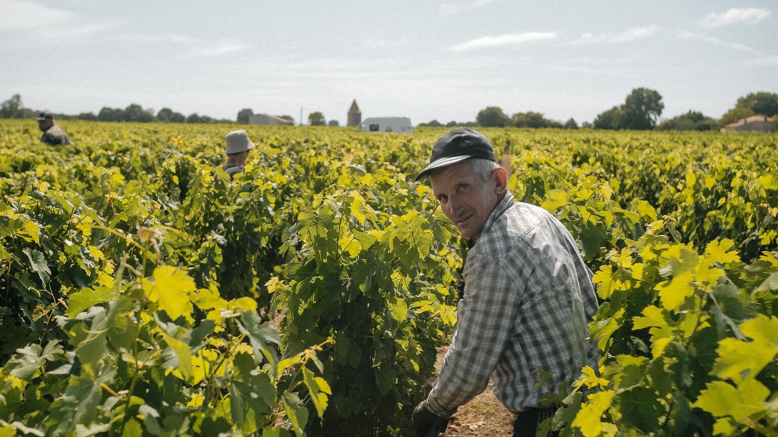 Château Haut Myles